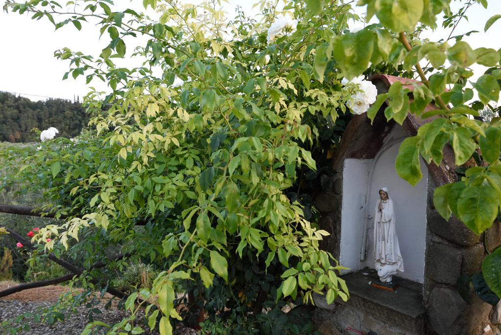 Agriturismo La Casuccia Castelfranco di Sopra ภายนอก รูปภาพ