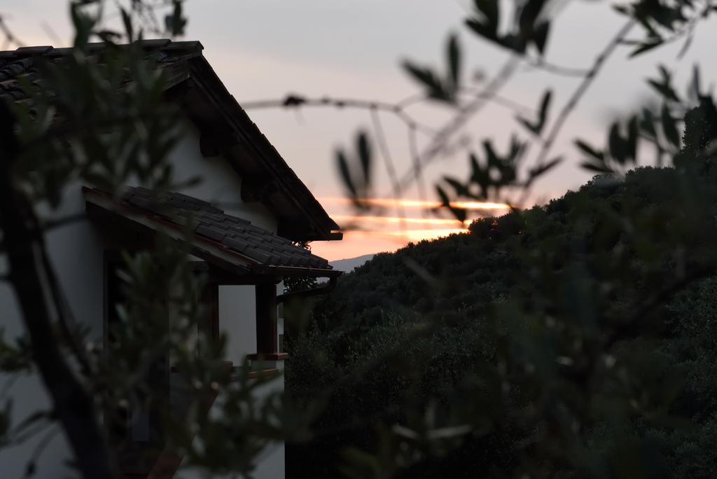 Agriturismo La Casuccia Castelfranco di Sopra ภายนอก รูปภาพ