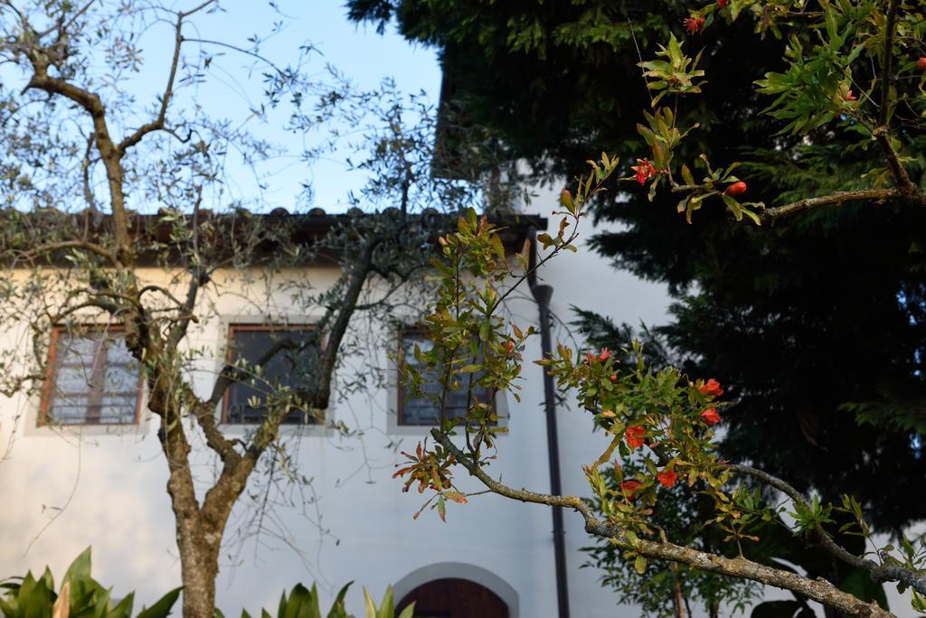 Agriturismo La Casuccia Castelfranco di Sopra ภายนอก รูปภาพ