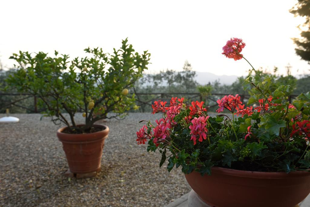 Agriturismo La Casuccia Castelfranco di Sopra ภายนอก รูปภาพ