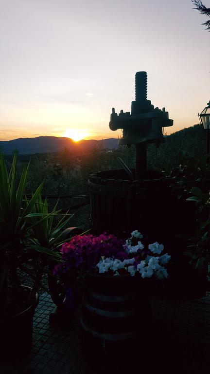 Agriturismo La Casuccia Castelfranco di Sopra ภายนอก รูปภาพ